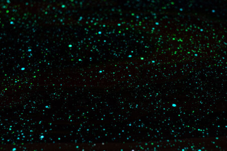 glow in the dark