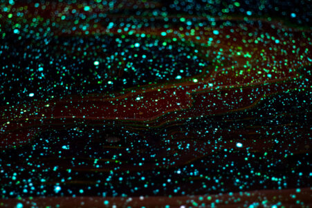 glow in the dark