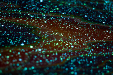 glow in the dark