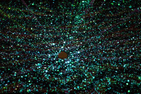 glow in the dark