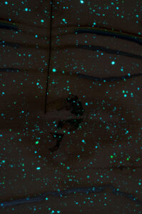 glow in the dark